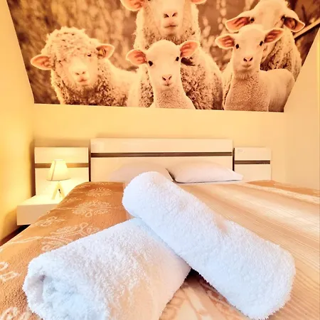 Bed & Breakfast Regina Ii & Zakopane